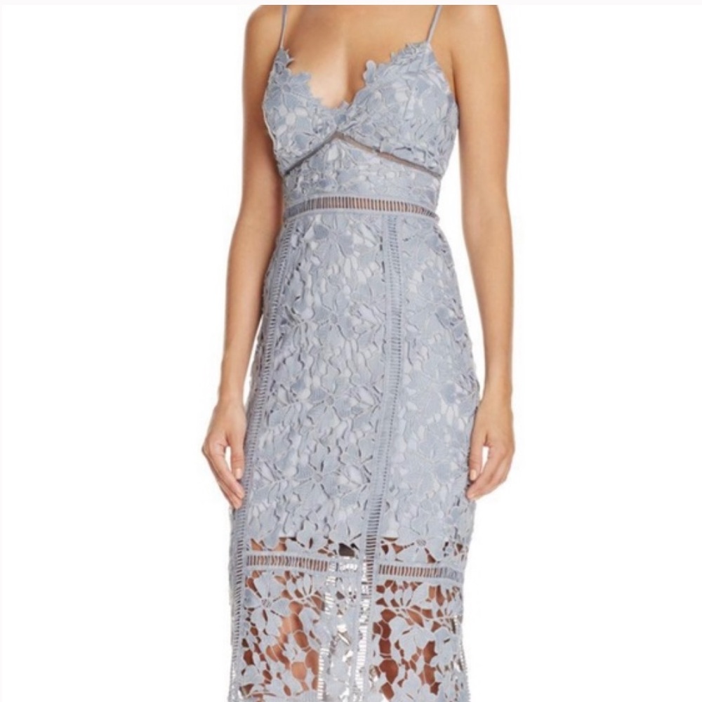 Bardot Botanical Lace Midi Dress in Dusty Blue